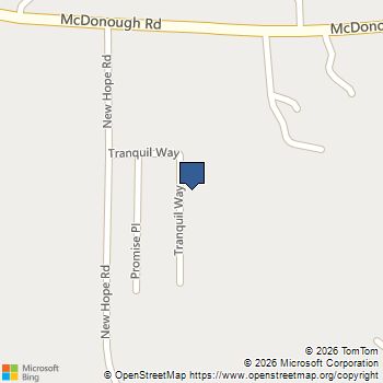 890 Tranquil Way Hampton, GA MLS# 10757263