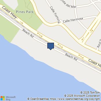 35121 Beach Road Dana Point, CA MLS# OC25123964