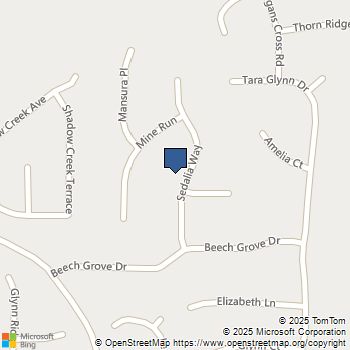 11059 Sedalia Way Hampton, GA MLS# 7691138