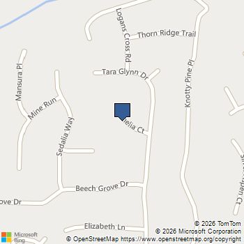1620 Amelia Court Hampton, GA MLS# 10850051
