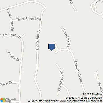 10996 Shannon Circle Hampton, GA MLS# 10183039