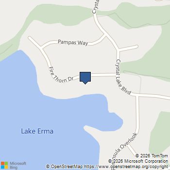 913 Fire Thorn Drive Hampton, GA MLS# 7849720