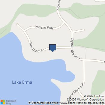 913 Fire Thorn Drive Hampton, GA MLS# 10868295