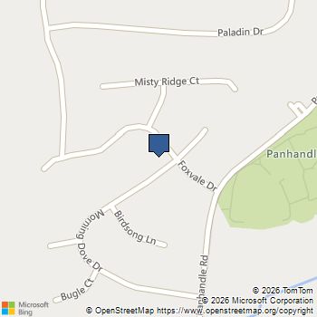 10879 Morning Dove Drive Hampton, GA MLS# 10857550