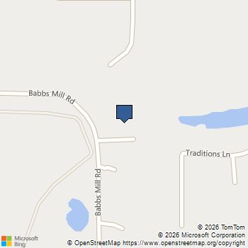217 Babbs Mill Road Hampton, GA MLS# 10761371