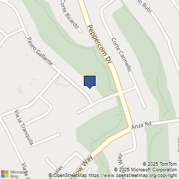 46048 Paseo Gallante Temecula, CA MLS# 250035818SD