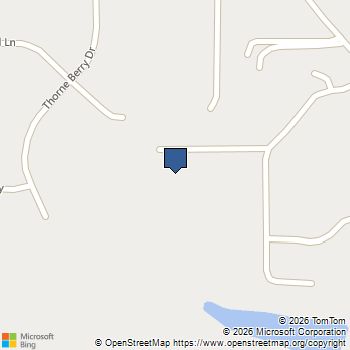 291 Arnewood Circle McDonough, GA MLS# 10755462