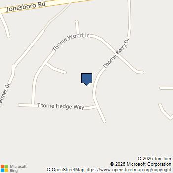 61 Thorne Berry Drive Hampton, GA MLS# 10785431