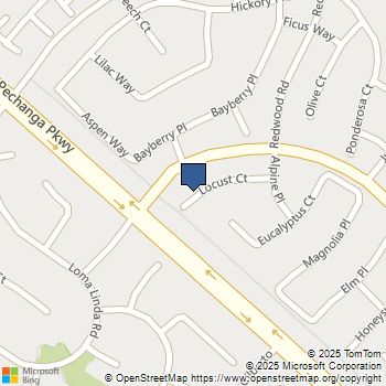 31244 Locust Temecula, CA MLS# SW25232532