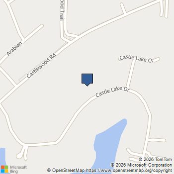 2080 Castle Lake Drive Tyrone, GA MLS# 10794421