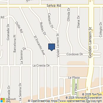 33915 Robles Drive B Dana Point, CA MLS# LG25215804