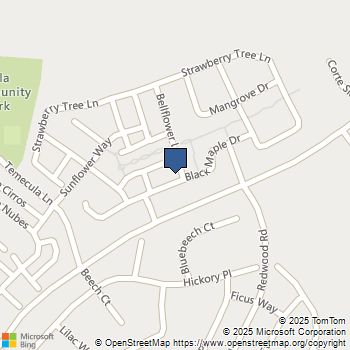 44989 Bellflower Lane Temecula, CA MLS# SW25242912