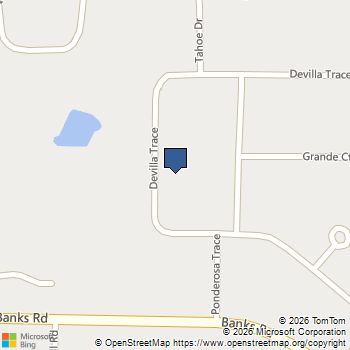 250 Devilla Trace Fayetteville, GA MLS# 10768018