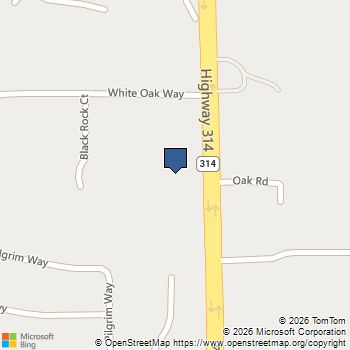 388 Highway 314 S Fayetteville, GA MLS# 10754344