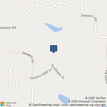 110 Sunflower Street Tyrone, GA MLS# 10694287