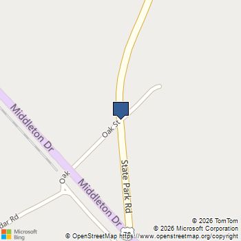 12.29 Acre State Park Road Windsor, SC MLS# 225508