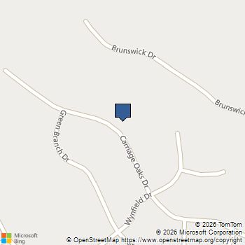 310 Carriage Oaks Drive Tyrone, GA MLS# 10756576
