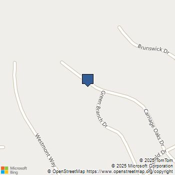 403 Carriage Oaks Drive Tyrone, GA MLS# 10651331