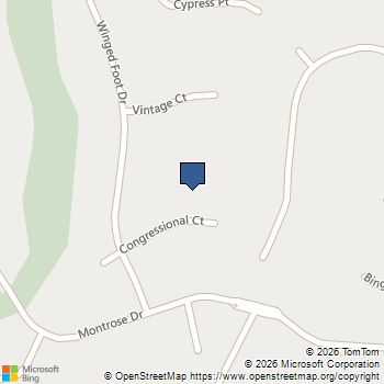 117 Congressional Court McDonough, GA MLS# 10850264
