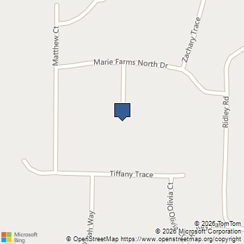 41 Madeline Way Palmetto, GA MLS# 10755223