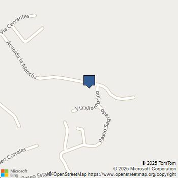 28481 Avenida La Mancha San Juan Capistrano, CA MLS# NP25010169