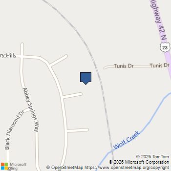 605 Sawgrass Walk McDonough, GA MLS# 10817624