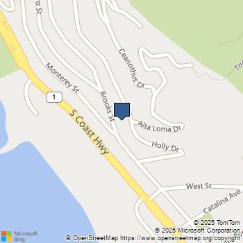 31345 Holly Drive Laguna Beach, CA MLS# NP23193574