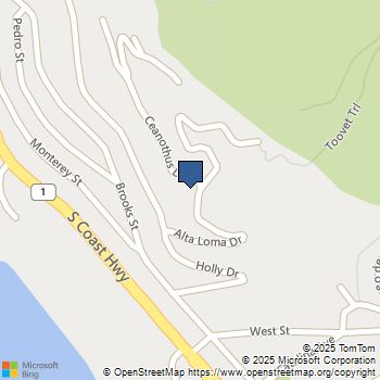 31321 Ceanothus Drive Laguna Beach, CA MLS# LG25003548