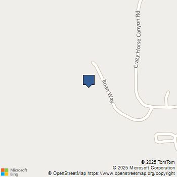 1007 Roan Way Aguanga, CA MLS# SW25172258