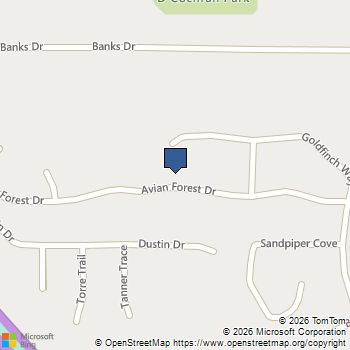 385 Avian Forest Drive Stockbridge, GA MLS# 10799291