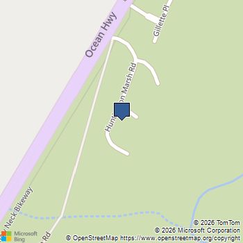 828 Channel Cat Cove Murrells Inlet, SC MLS# 2605603