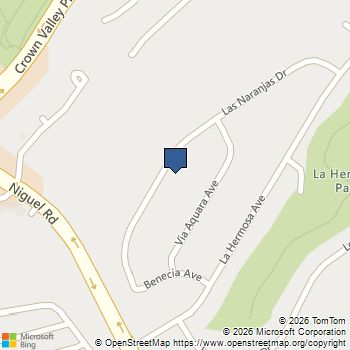 24216 Las Naranjas Drive Laguna Niguel, CA MLS# OC26157919