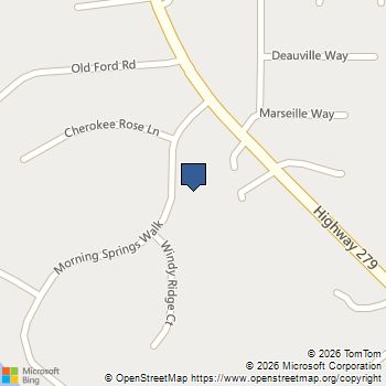 120 Morning Springs Walk Fayetteville, GA MLS# 10669940