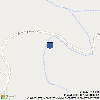 60815 Burnt Valley Rd Anza, CA MLS# 250037253SD