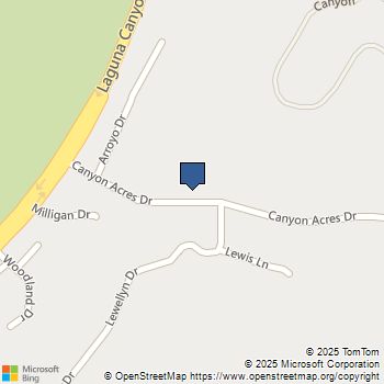 266 Canyon Acres Laguna Beach, CA MLS# LG25251847