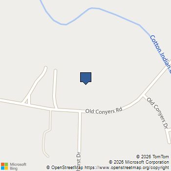 955 Old Conyers Road Stockbridge, GA MLS# 10776843