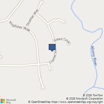 160 Craines View Covington, GA MLS# 10800755