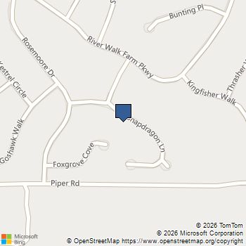 70 Snapdragon Lane Covington, GA MLS# 10784748