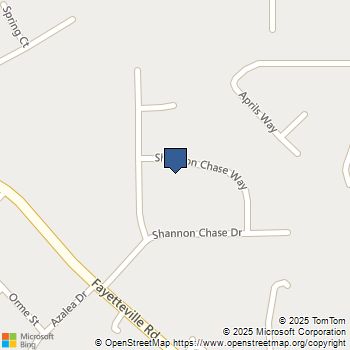 109 Shannon Chase Way Fairburn, GA MLS# 10645277