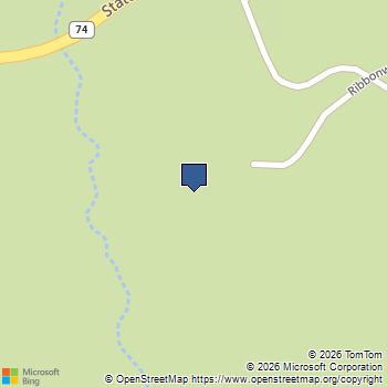 67079 Ribbonwood Drive Mountain Center, CA MLS# 219140533DA