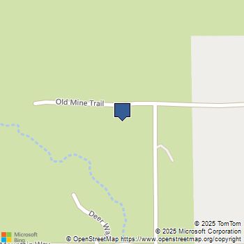 38111 Manzanita Mountain Lane Anza, CA MLS# SW25174539