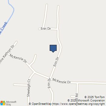 719 Erin Drive Stockbridge, GA MLS# 10615880