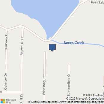 120 Windsong Court Stockbridge, GA MLS# 10656866