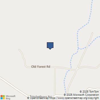 37245 Old Forest Road Anza, CA MLS# PTP2507021