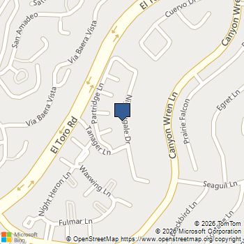 46 Nightingale Drive Aliso Viejo, CA MLS# OC26017153