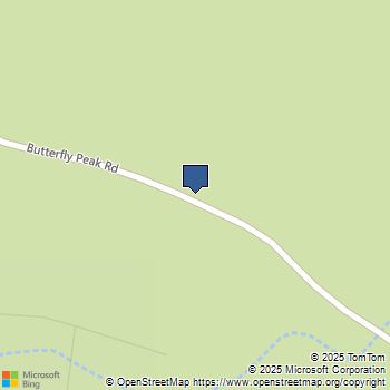 1 Butterfly Peak Road Mountain Center, CA MLS# 219131438DA