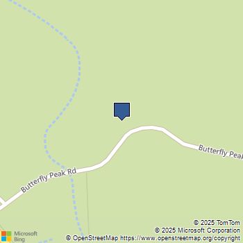 30 Butterfly Peak Road Mountain Center, CA MLS# 219123195DA