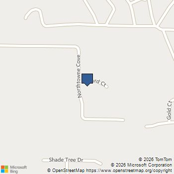 175 Northtowne Cove Stockbridge, GA MLS# 10740285