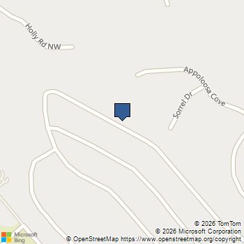 7295 Lyric Street Fairburn, GA MLS# 10771600