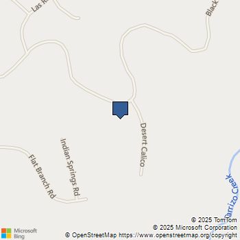 21 Black Hills rd Mountain Center, CA MLS# NDP2506512